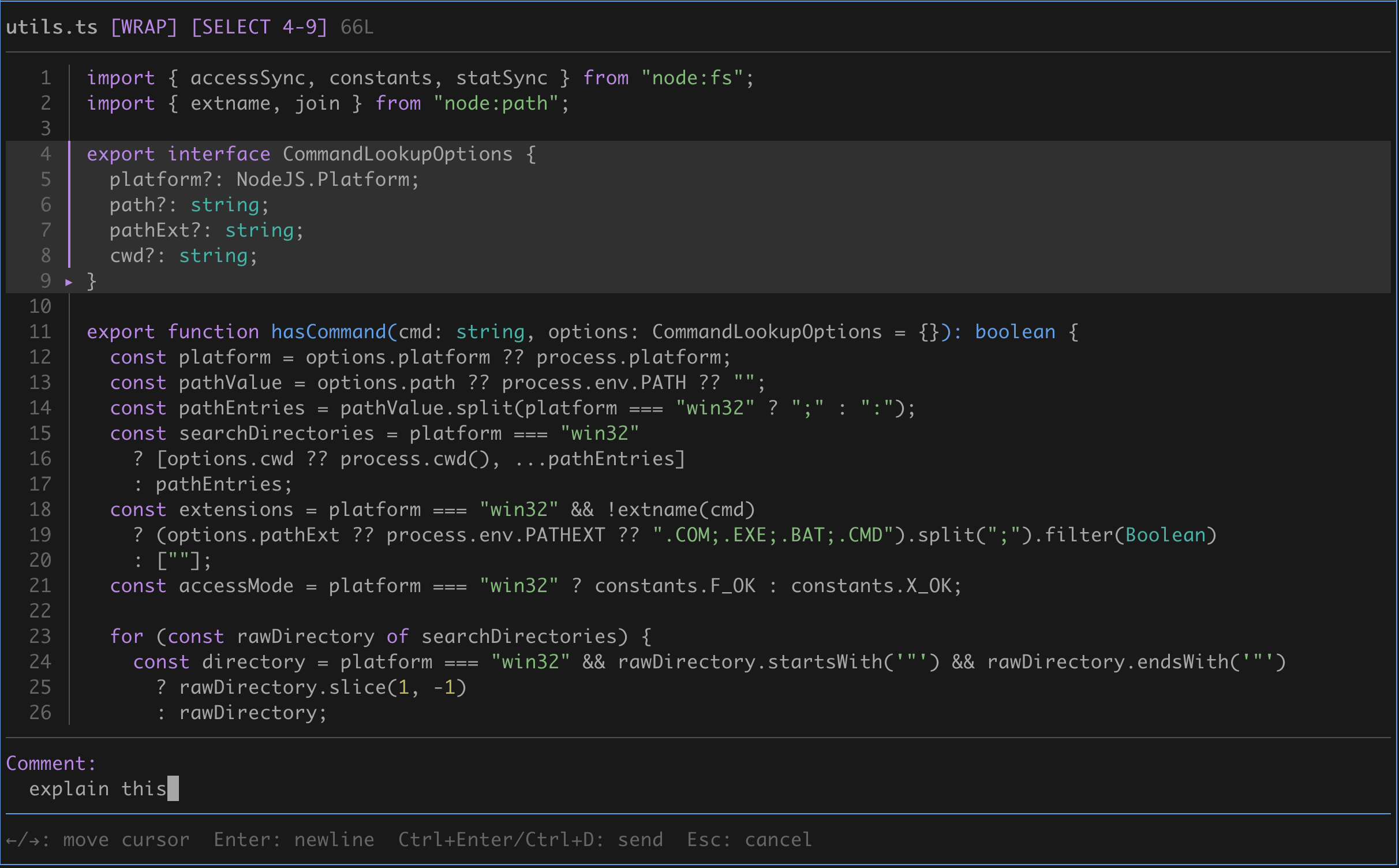 Selected lines and comment editor