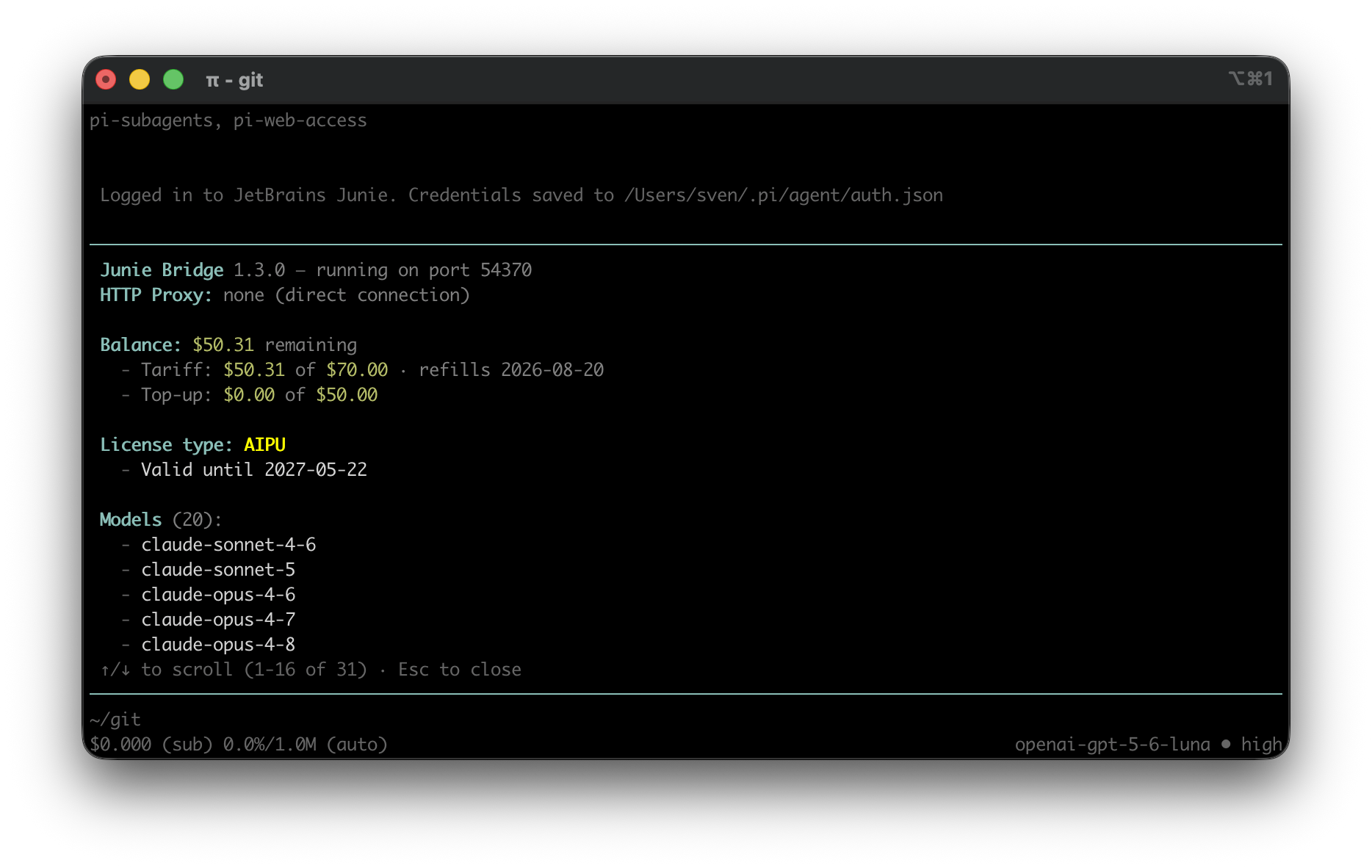 Screnshot showcasing the `junie` command