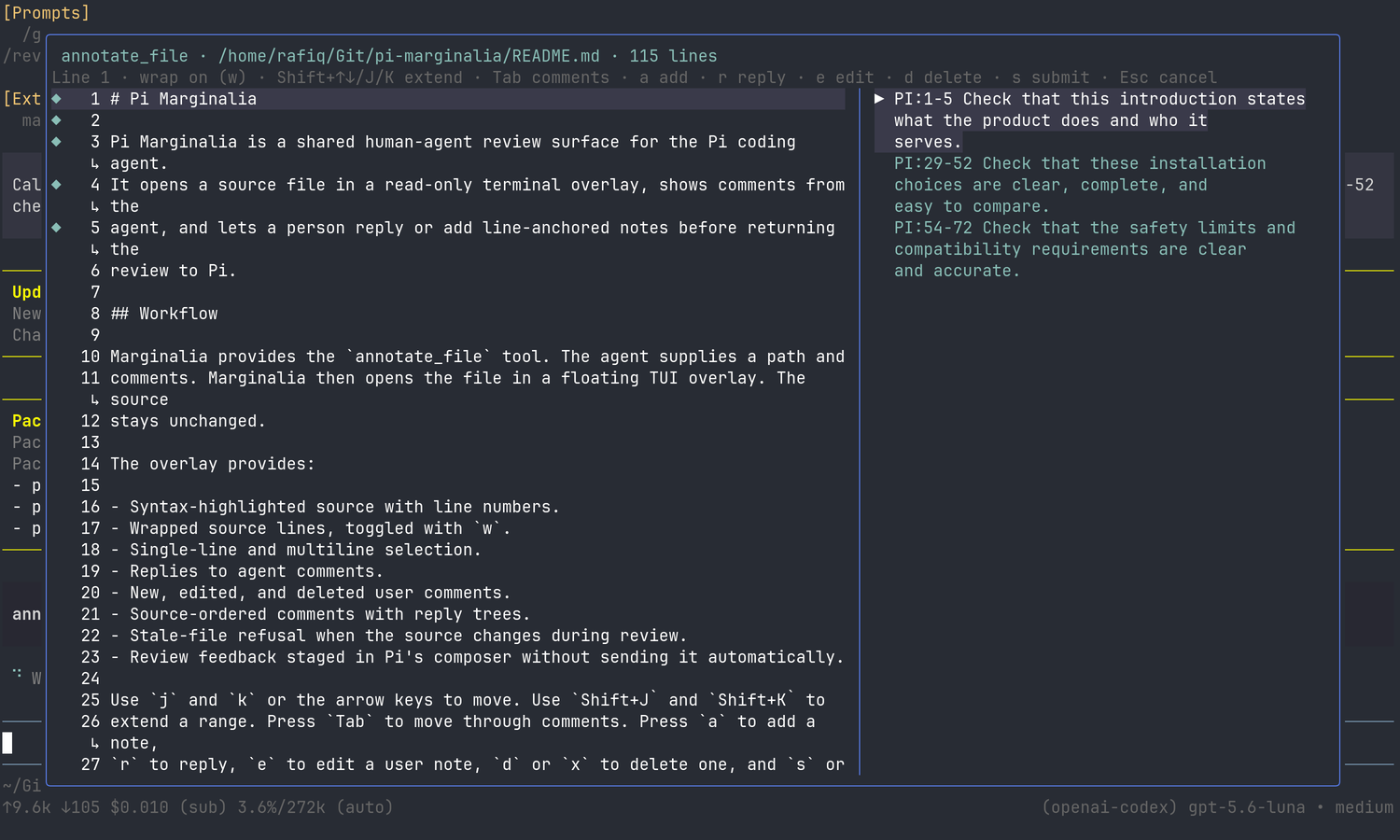 Pi Marginalia reviewing its own README
