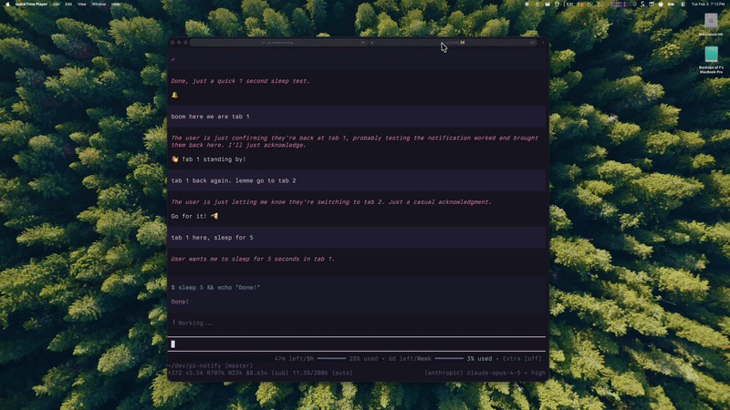 pi-notify demo