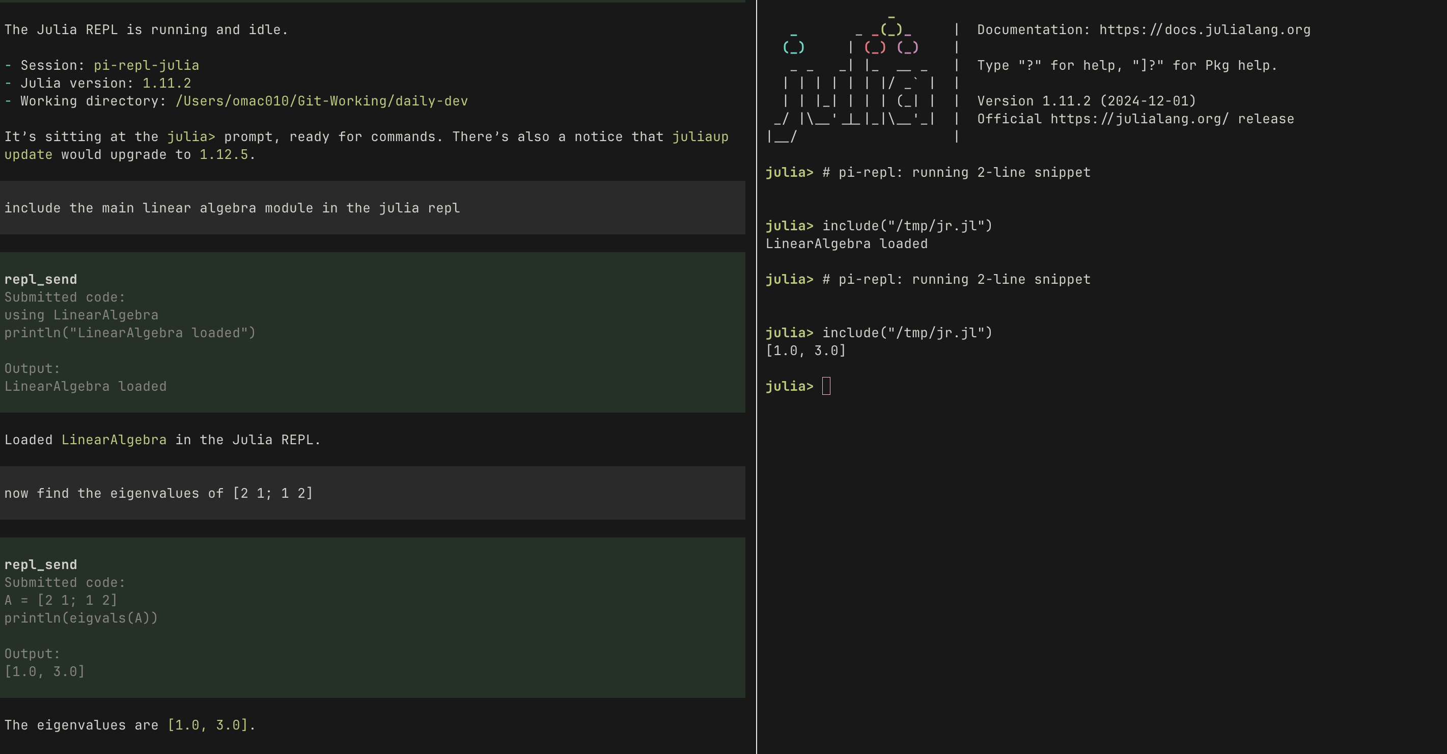Interacting with a shared Julia REPL