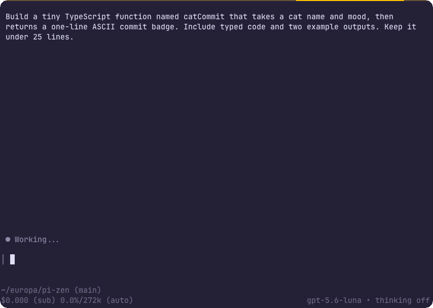 Pi Zen coding cat demo