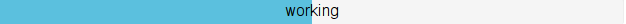 The validation bar is blue and shows the status "working".