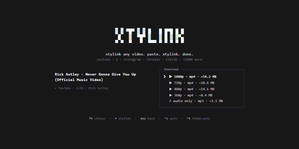 xtylink format picker — resolutions with estimated file sizes, plus audio-only mp3