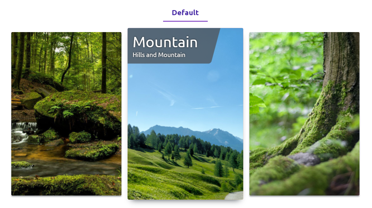 Image Gallery - Default