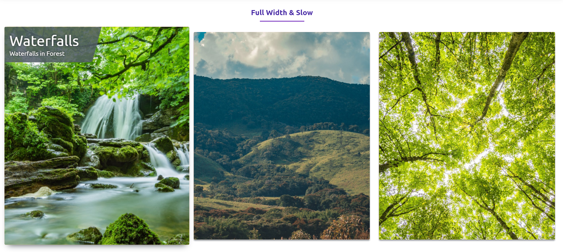 Image Gallery - Full Width