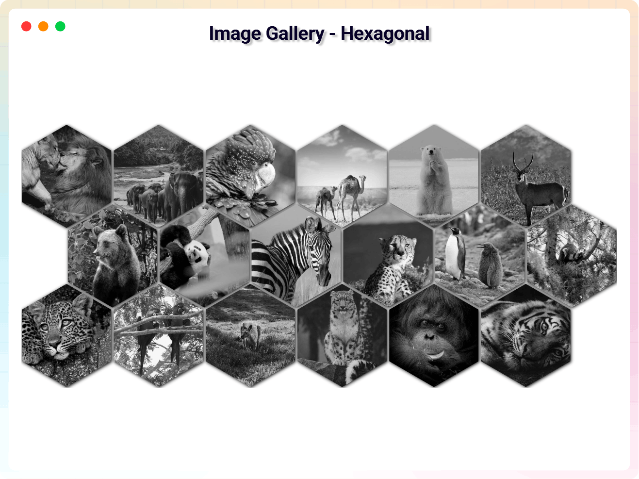 Image Gallery - Hexagonal