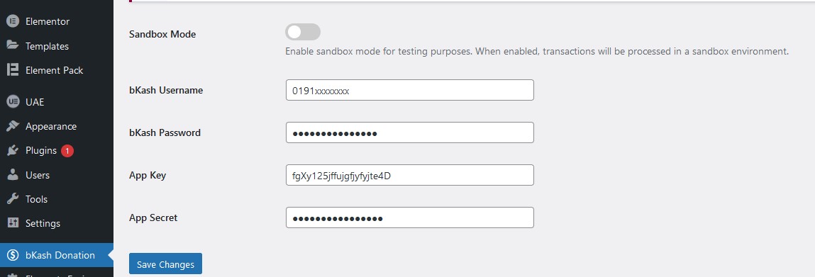 **Settings Page:** A clean and intuitive configuration page for managing bKash API credentials and other options.