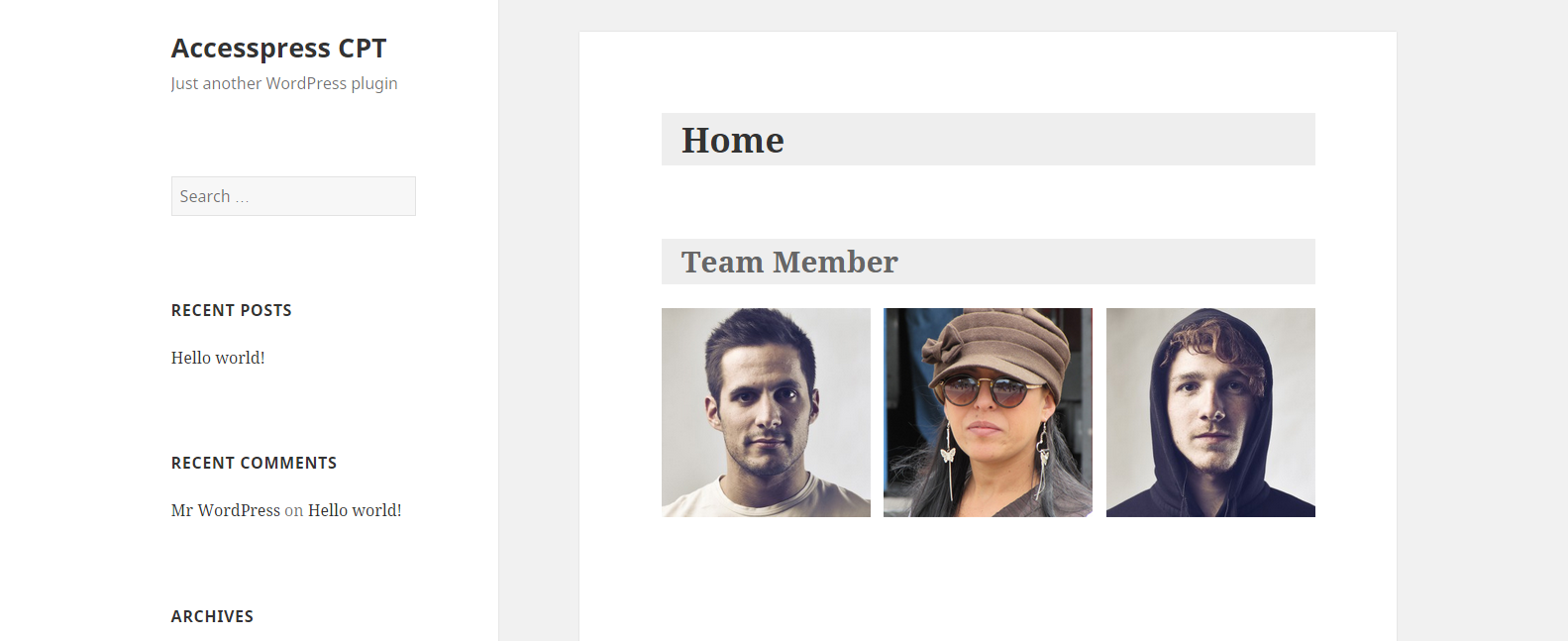 Frontend Display of Team Section