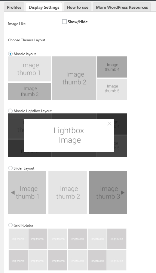 Backend Display Settings Section