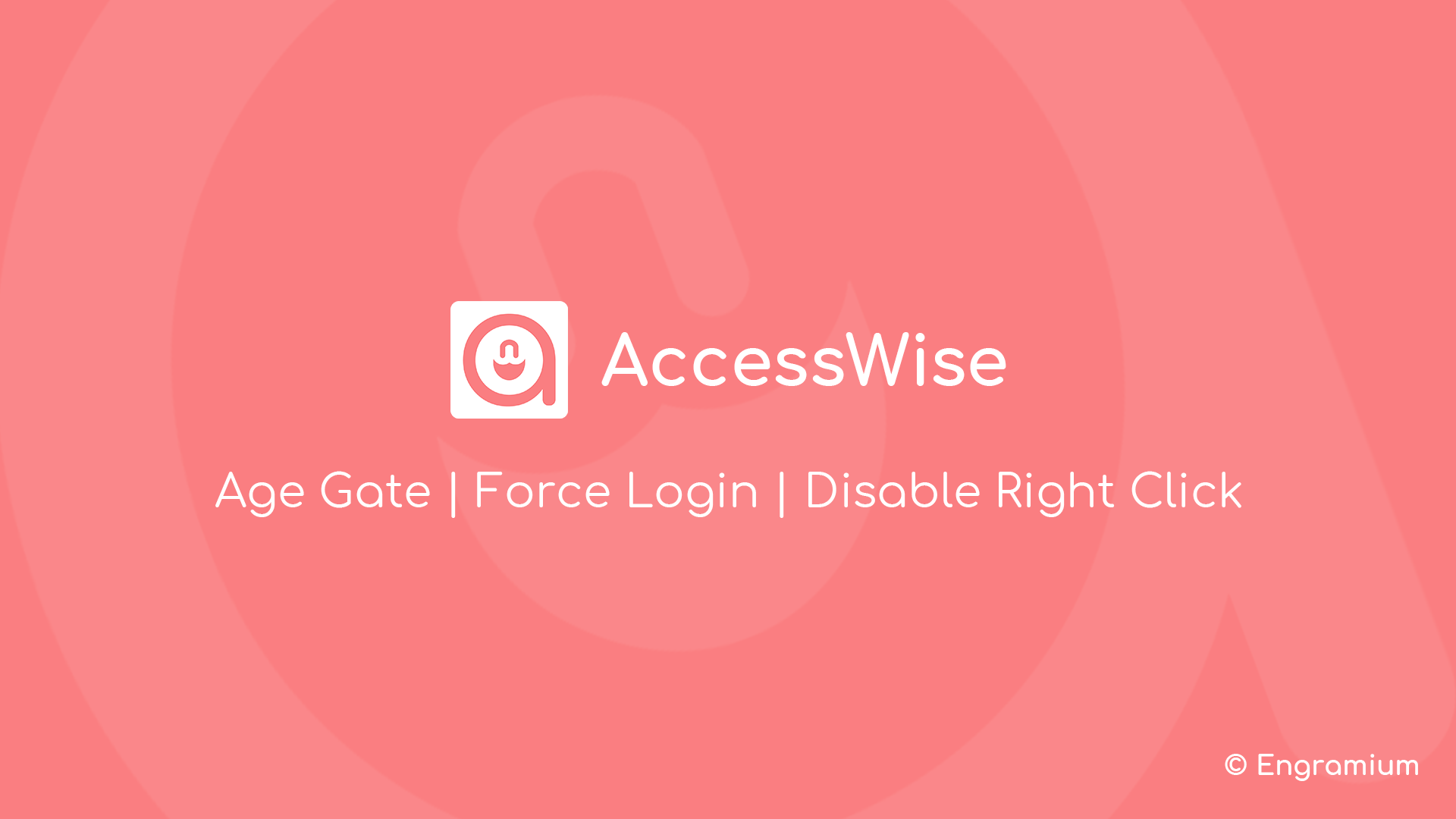 AccessWise Core Features