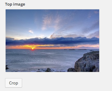 A crop-button will appear beneath the image (If desired, use the "Force user crop"-option to initialize the crop as soon as the user selects the image)