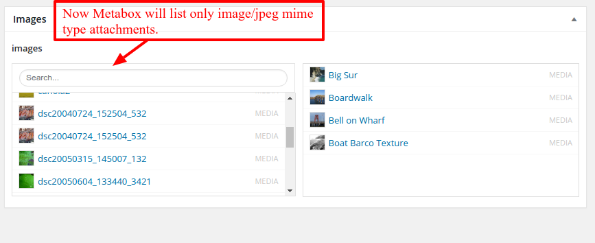 After activating this add-on you can see mime type filter in relationship field of acf.