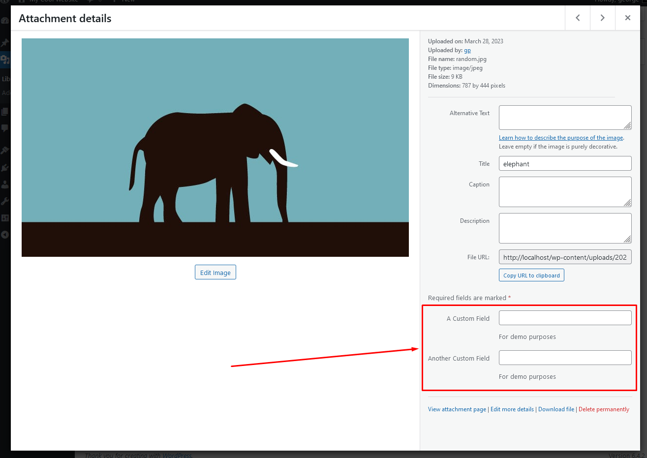 The custom fields in media library