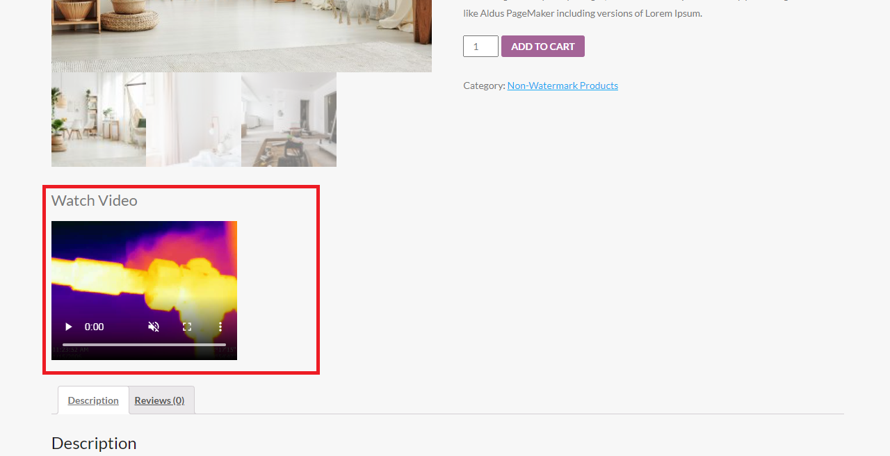 Front end Full Video URL Layout
