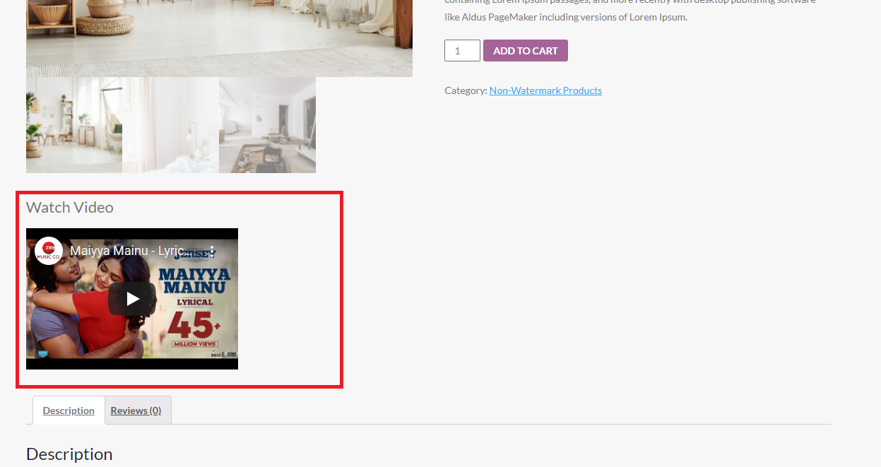 Front end Youtube URL Layout