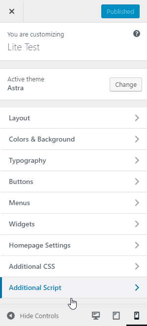 Option of Additional Script in theme's customizer