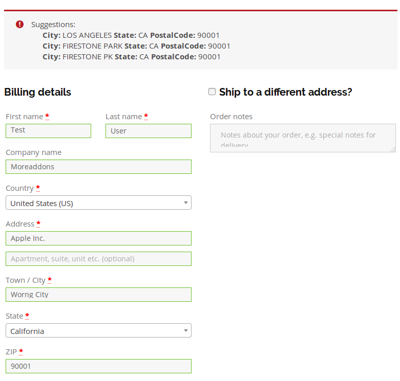 Invalid Address and Suggestion in Checkout Page