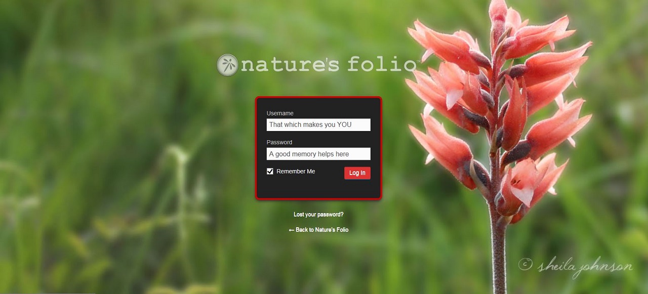 Admin Setting Dashboard