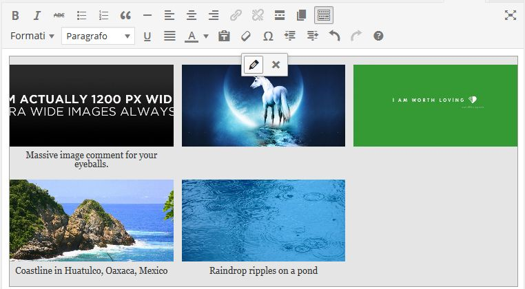 Advanced Control Manager Local Business widget HTML markup example