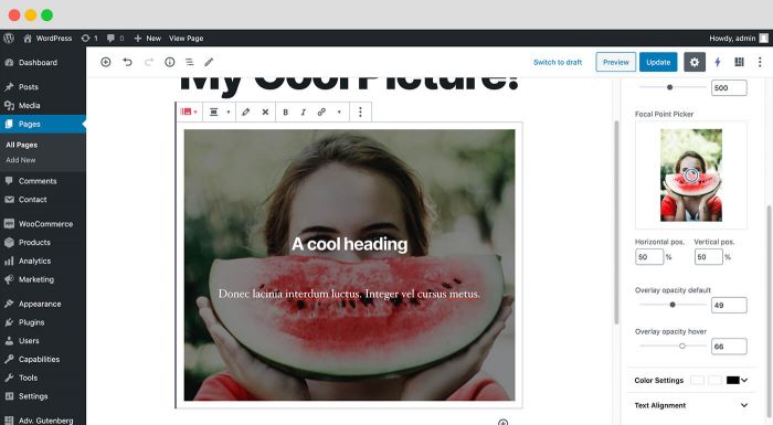 Login & Register Gutenberg Block: This block allows you to load a WordPress login or registration form inside Gutenberg.