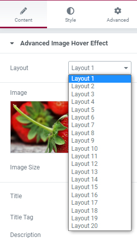 Layout Style