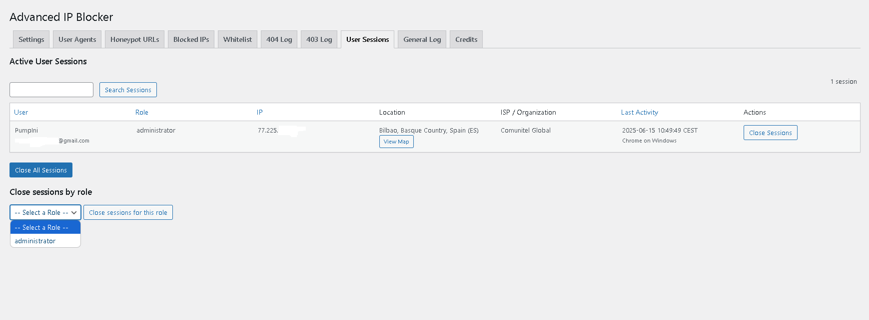 Example of the 404 Error Log table.
