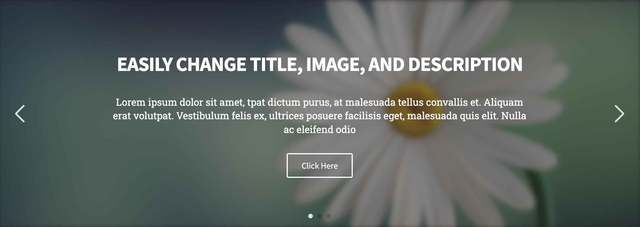Slider Image With Gradient color Styling options