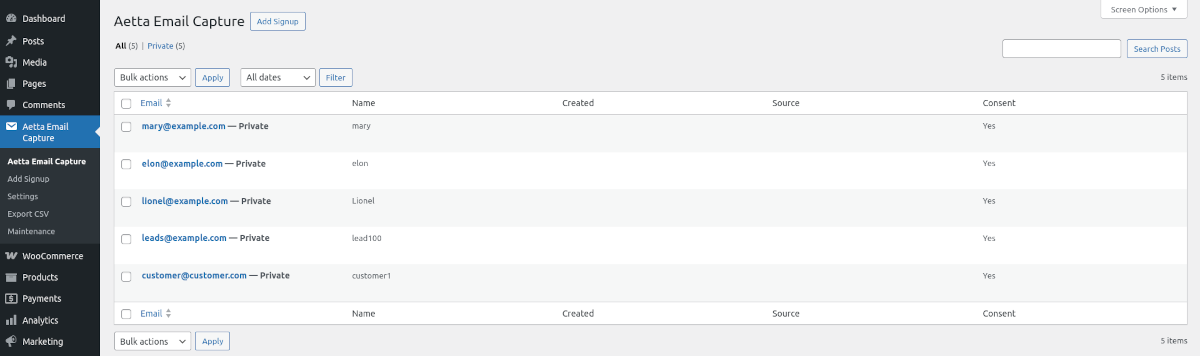 Admin screen listing captured email signups (examples).