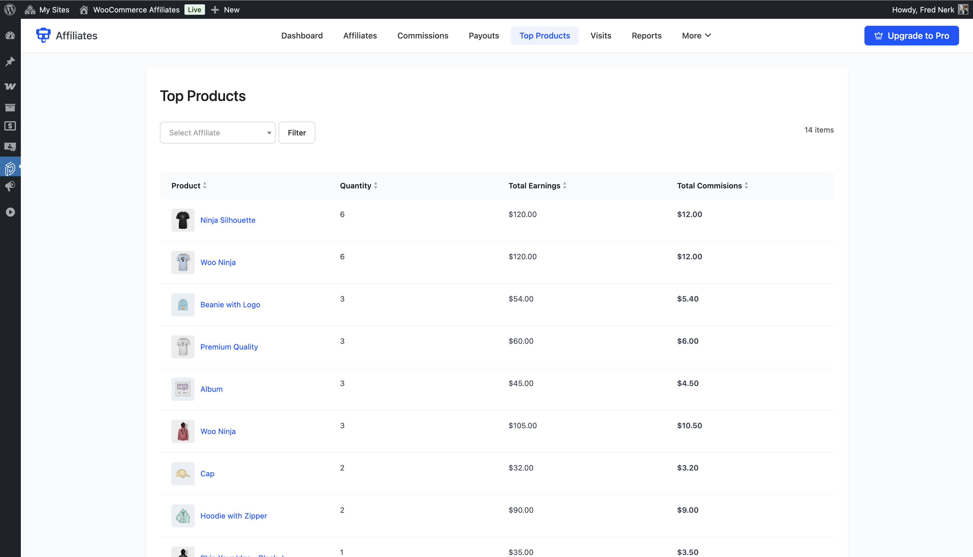Affiliate visits list showing click log with referral source URLs and timestamps