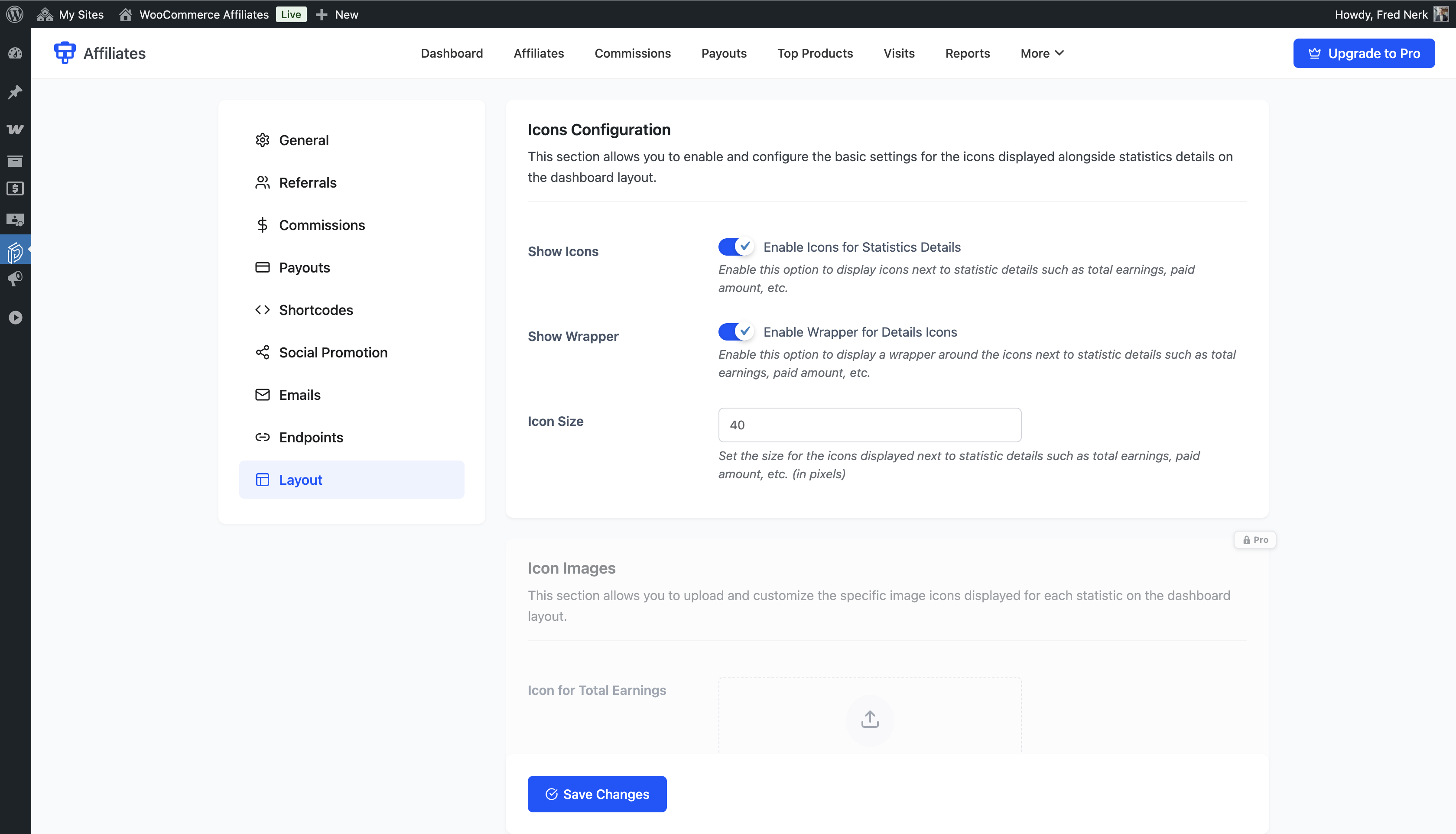 Admin visits log showing all referral clicks with affiliate, URL, and timestamp data