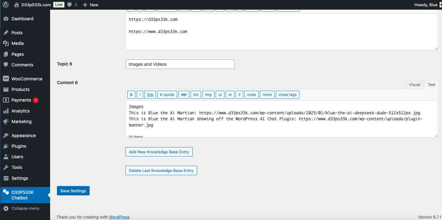 D33PS33K AI Agent Chatbot Admin Settings Screenshot 7