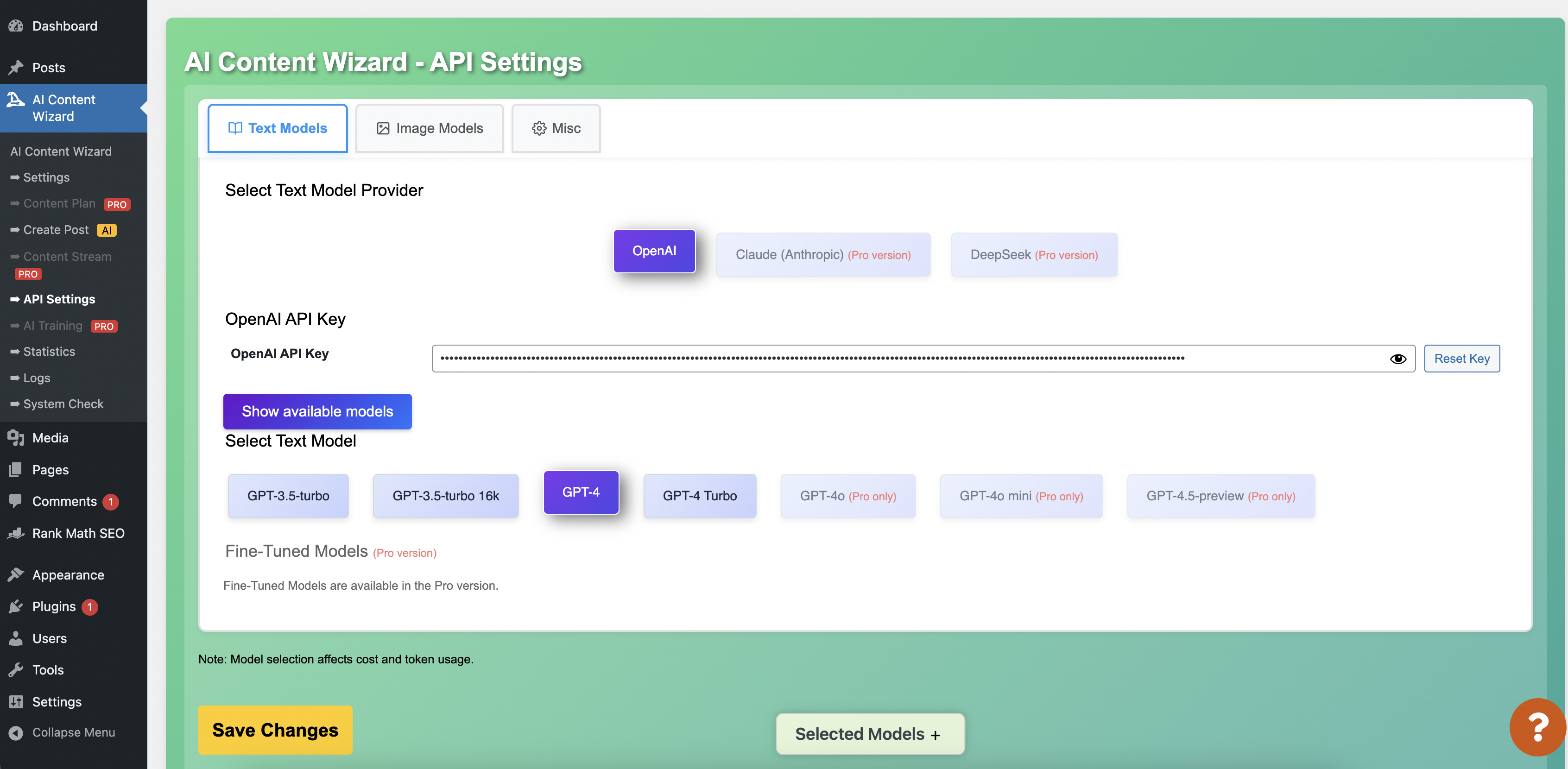 **API Settings Page** – Interface for managing your OpenAI API key and related API settings.