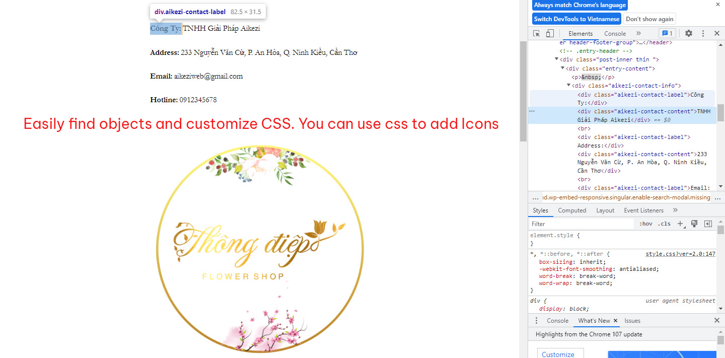 Easily find classes and customize with css