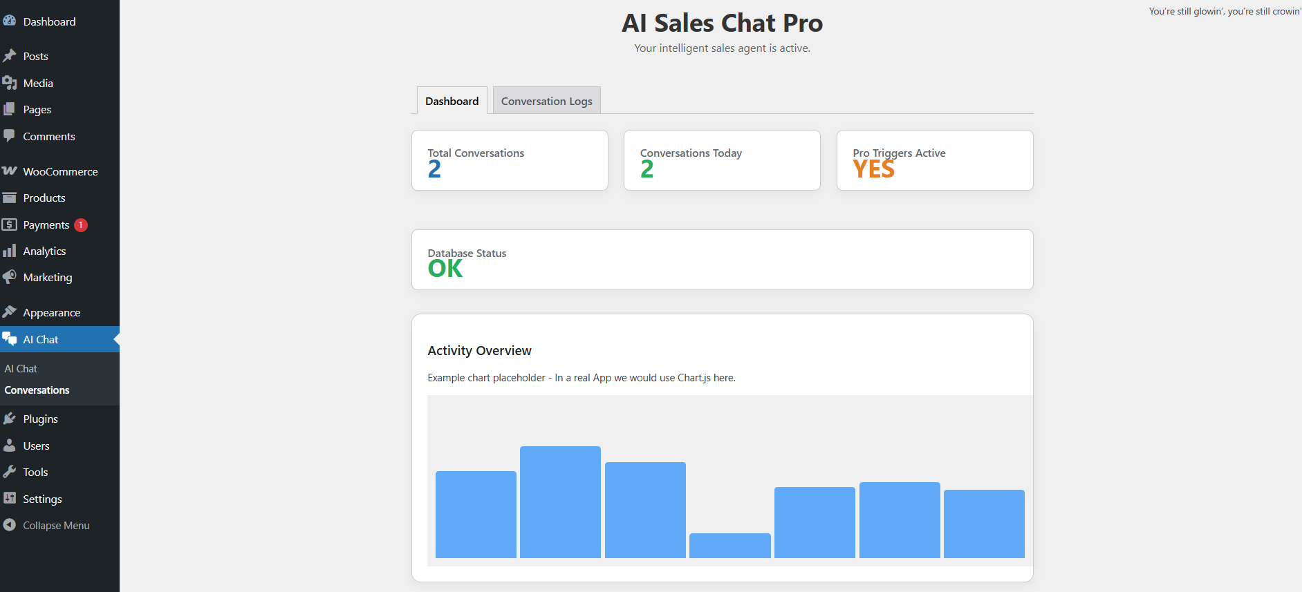 **Admin Settings:** Easy configuration of API key and customization.