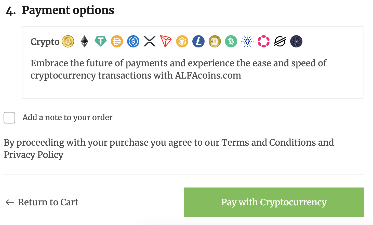 Upon selection, this is the appearance of the chosen payment option.