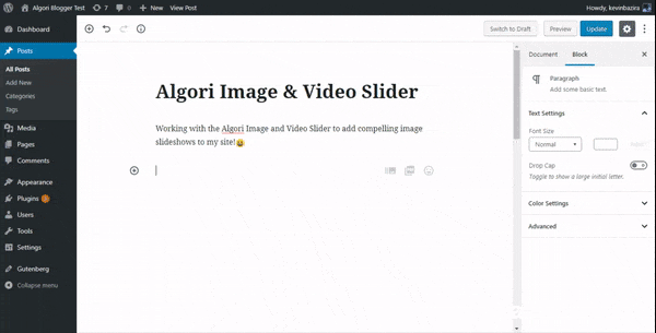Admin View - Algori Video and Image Slider Gutenberg Block in action.