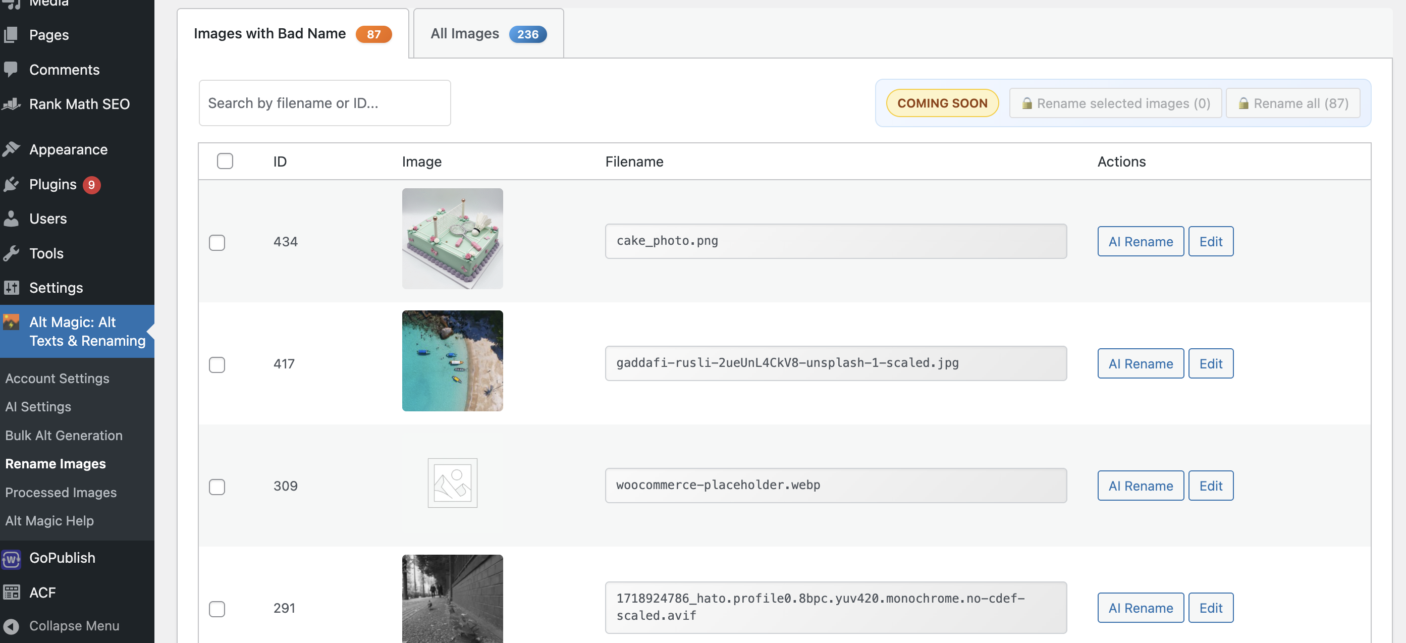 Automatic and Bulk Image renaming with AI