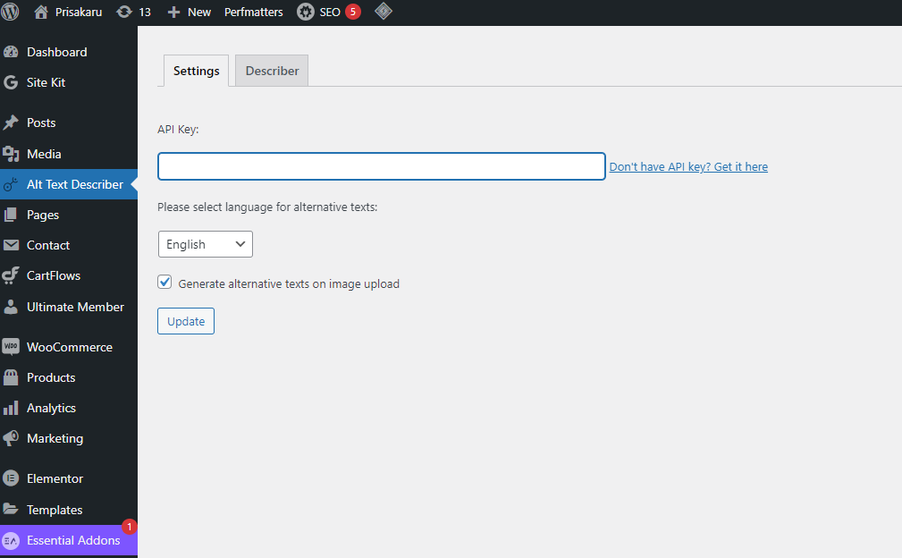 Settings tab in which you have to paste API key