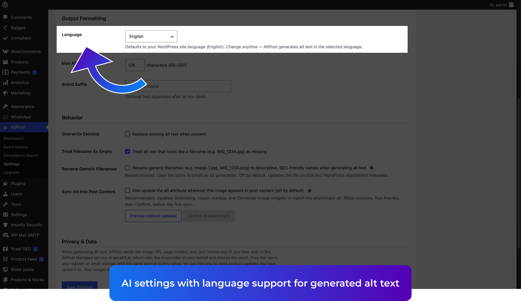 Settings — AI language support and output formatting