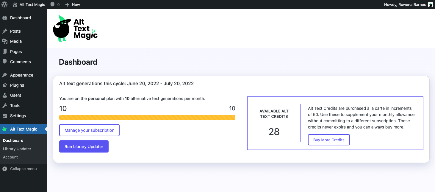 The dashboard page shows your current plan and monthly usage.