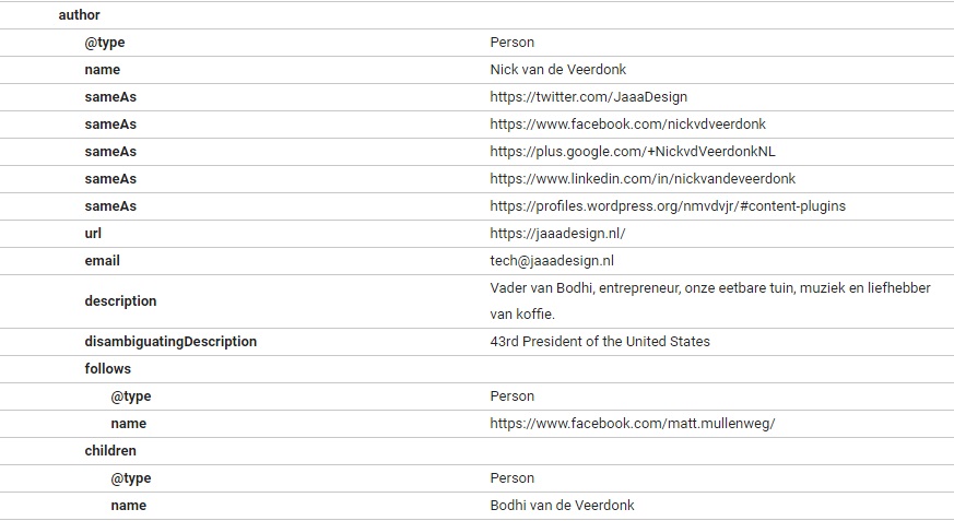 Rendering of the JSON-LD structured data via Google Structured Data Testing Tool