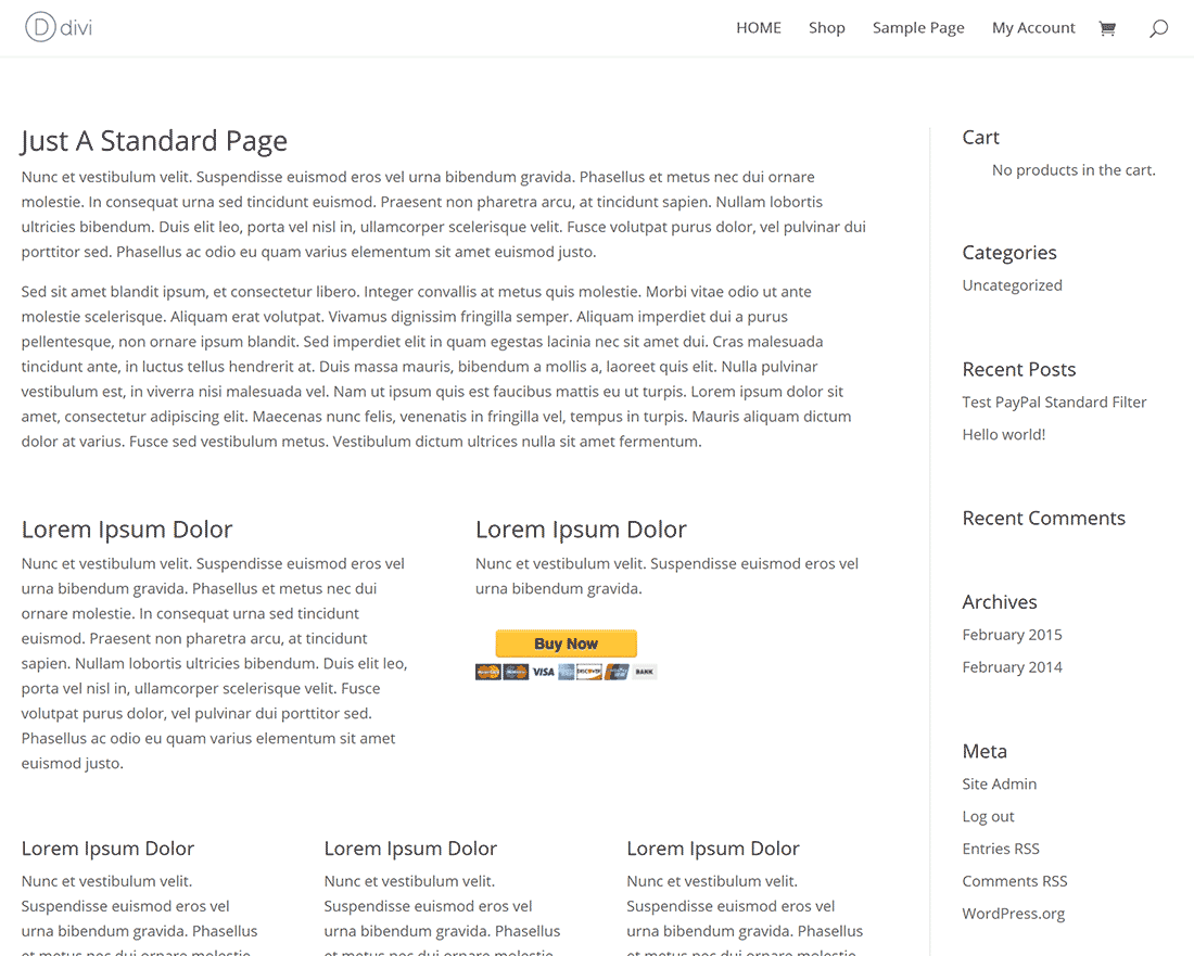 Default Buy Now button displayed on web page.