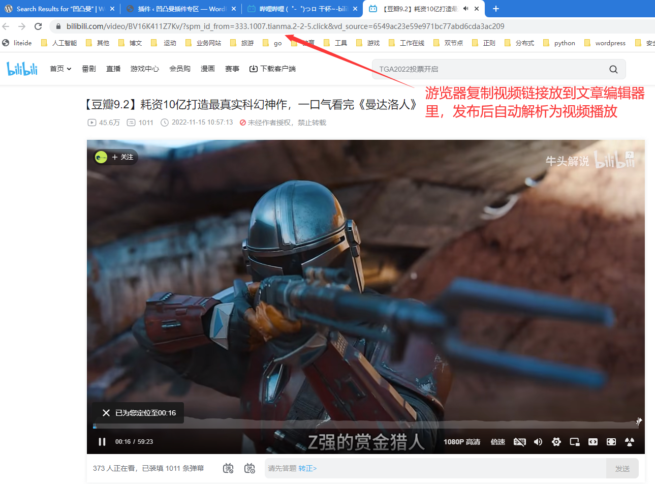 bilibili 视频播放效果截图