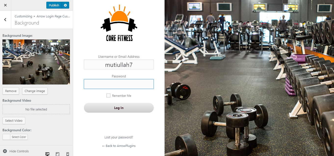 Custom Login page Example # 1