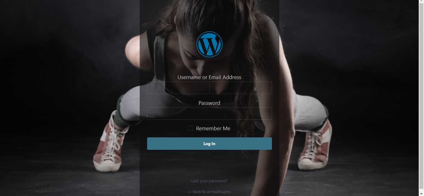 Custom Login page Example # 2
