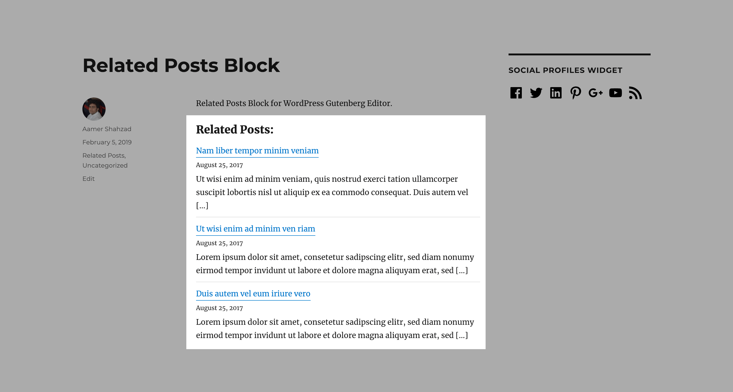 Frontend view of "Related Posts".