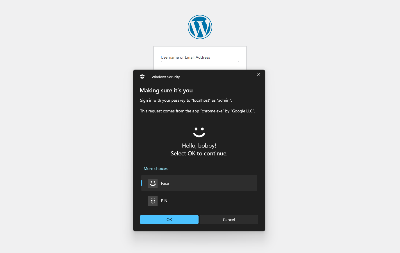 WordPress admin panel for pro settings.