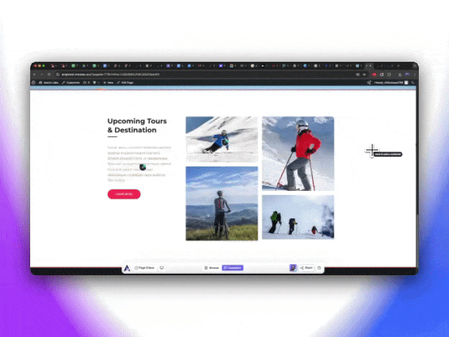 **Team and Clients Collaboration & Feedback**