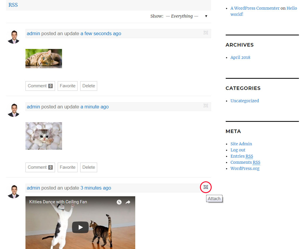 Click the "Attach an item" button